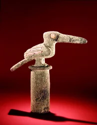 Pájaro con ojos de concha